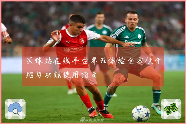 买球站在线平台界面体验全方位介绍与功能使用指南